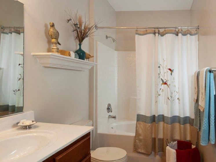 Bathroom Accessories at Abberly Twin Hickory Apartment Homes by HHHunt, Virginia, 23059